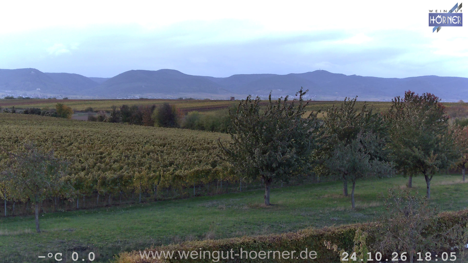 Webcam Weinberge Hochstadt