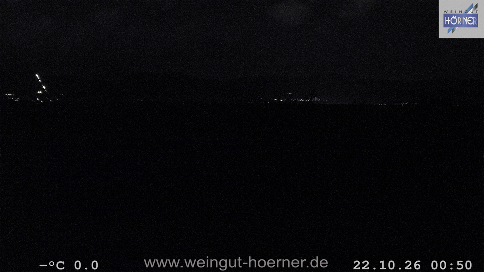 Webcam Weinberge Hochstadt