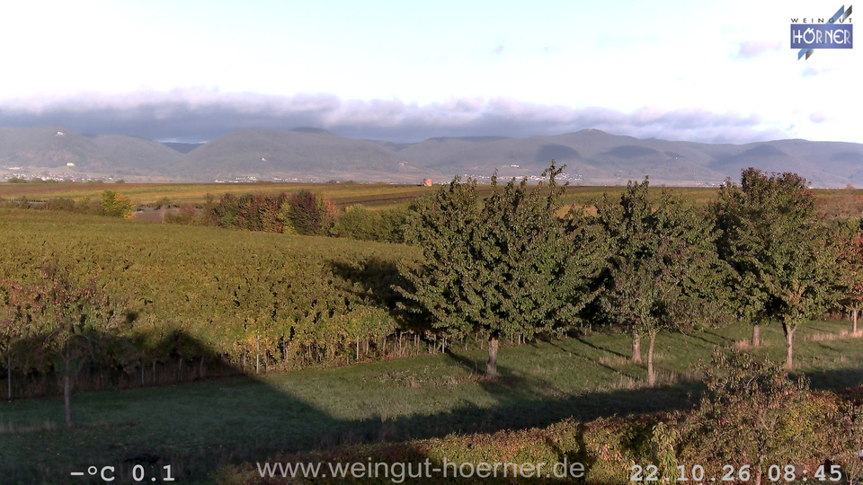 Webcam Weinberge Hochstadt