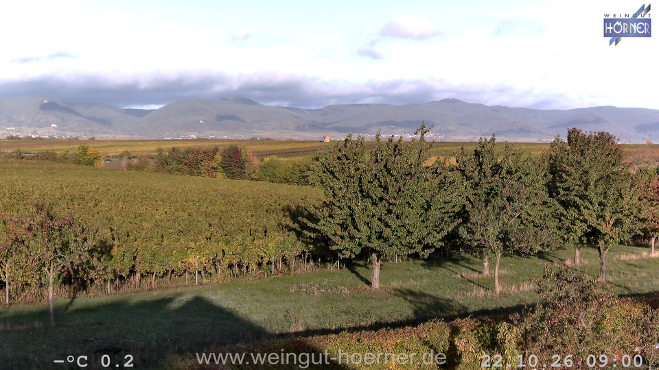 Webcam Weinberge Hochstadt
