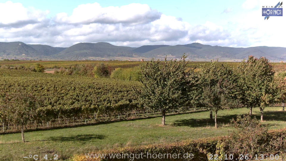 Webcam Weinberge Hochstadt