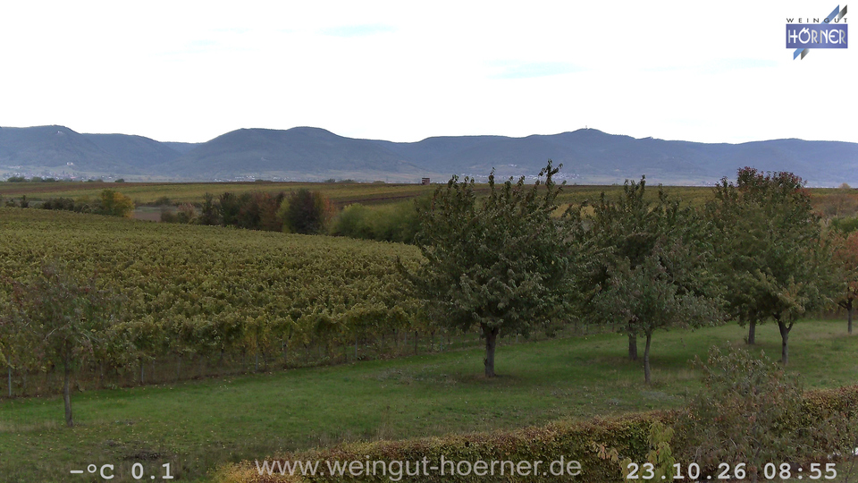 Webcam Weinberge Hochstadt