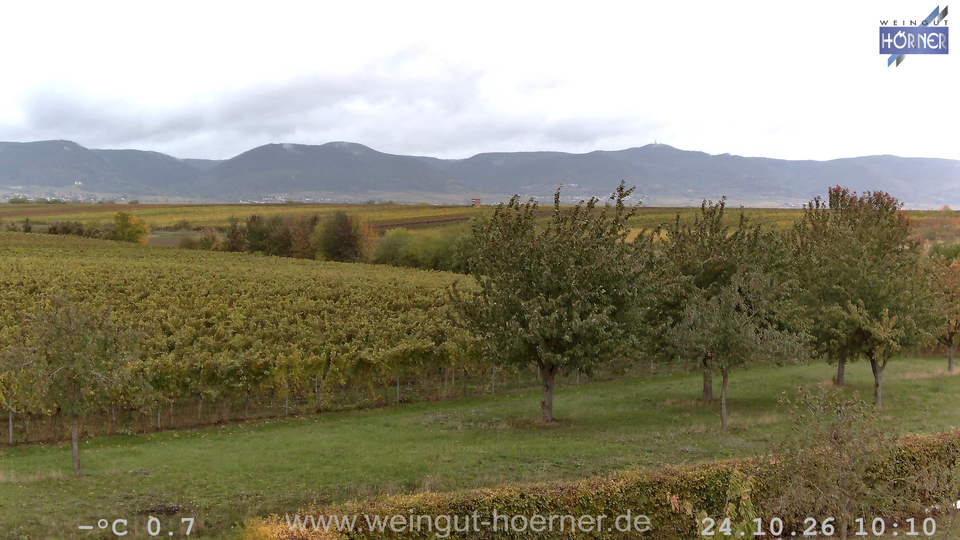 Webcam Weinberge Hochstadt