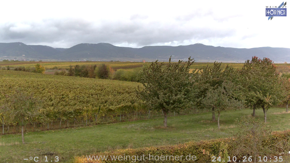 Webcam Weinberge Hochstadt