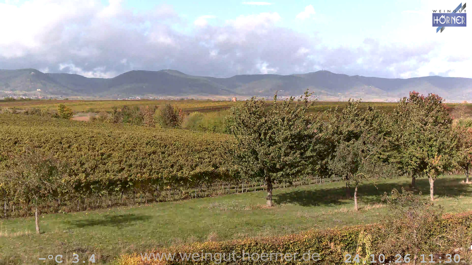 Webcam Weinberge Hochstadt