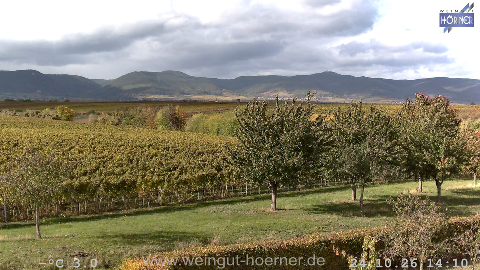 Webcam Weinberge Hochstadt