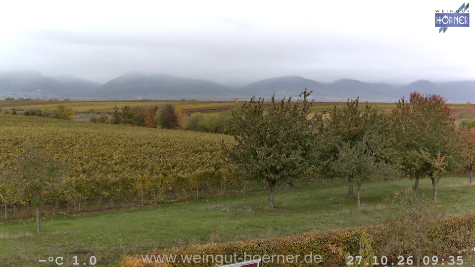Webcam Weinberge Hochstadt