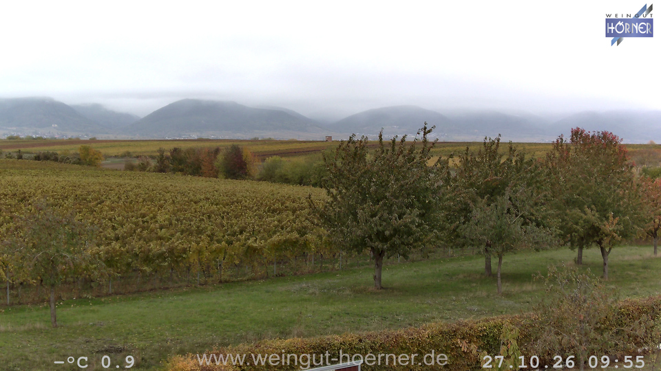 Webcam Weinberge Hochstadt