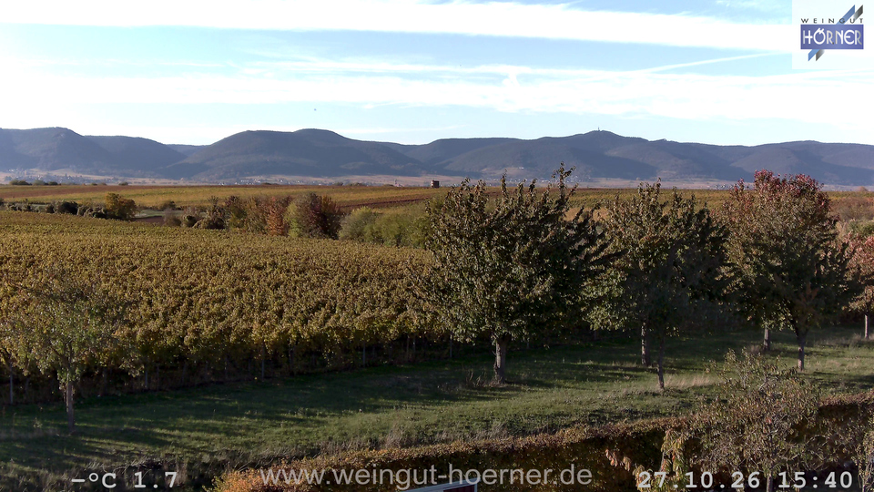 Webcam Weinberge Hochstadt