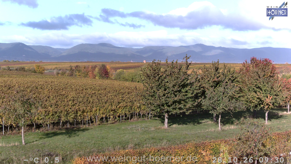 Webcam Weinberge Hochstadt