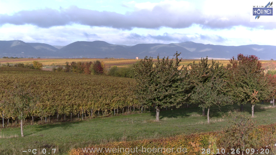 Webcam Weinberge Hochstadt