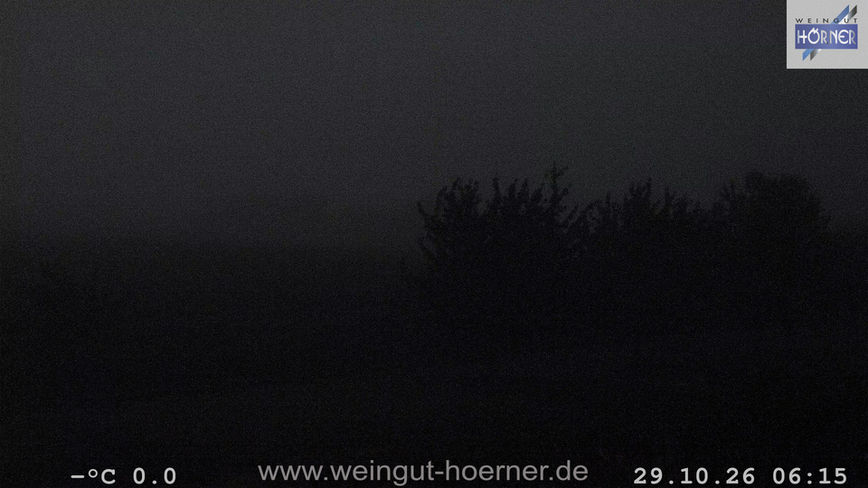Webcam Weinberge Hochstadt