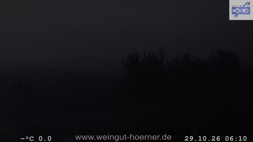 Webcam Weinberge Hochstadt