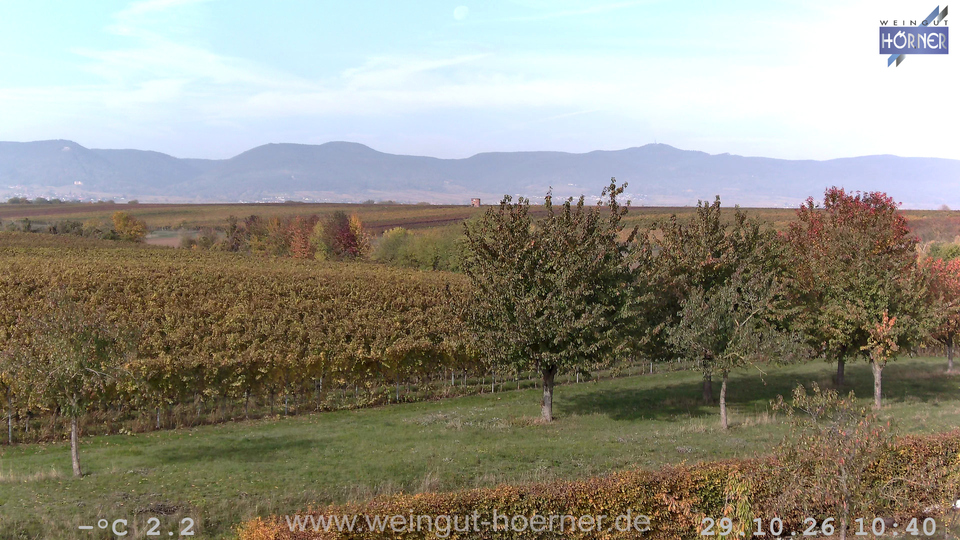 Webcam Weinberge Hochstadt