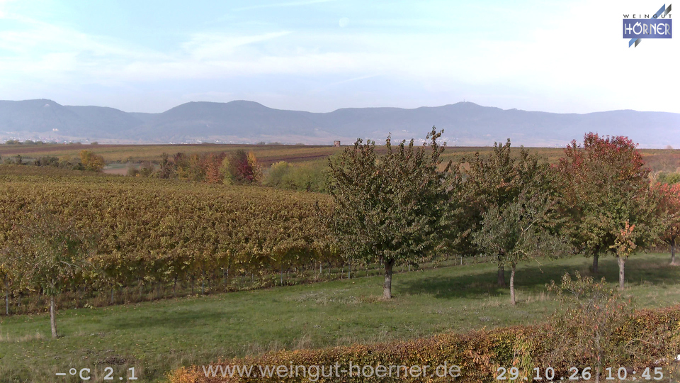 Webcam Weinberge Hochstadt