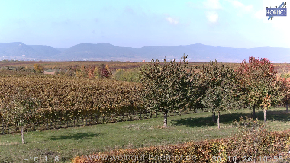 Webcam Weinberge Hochstadt