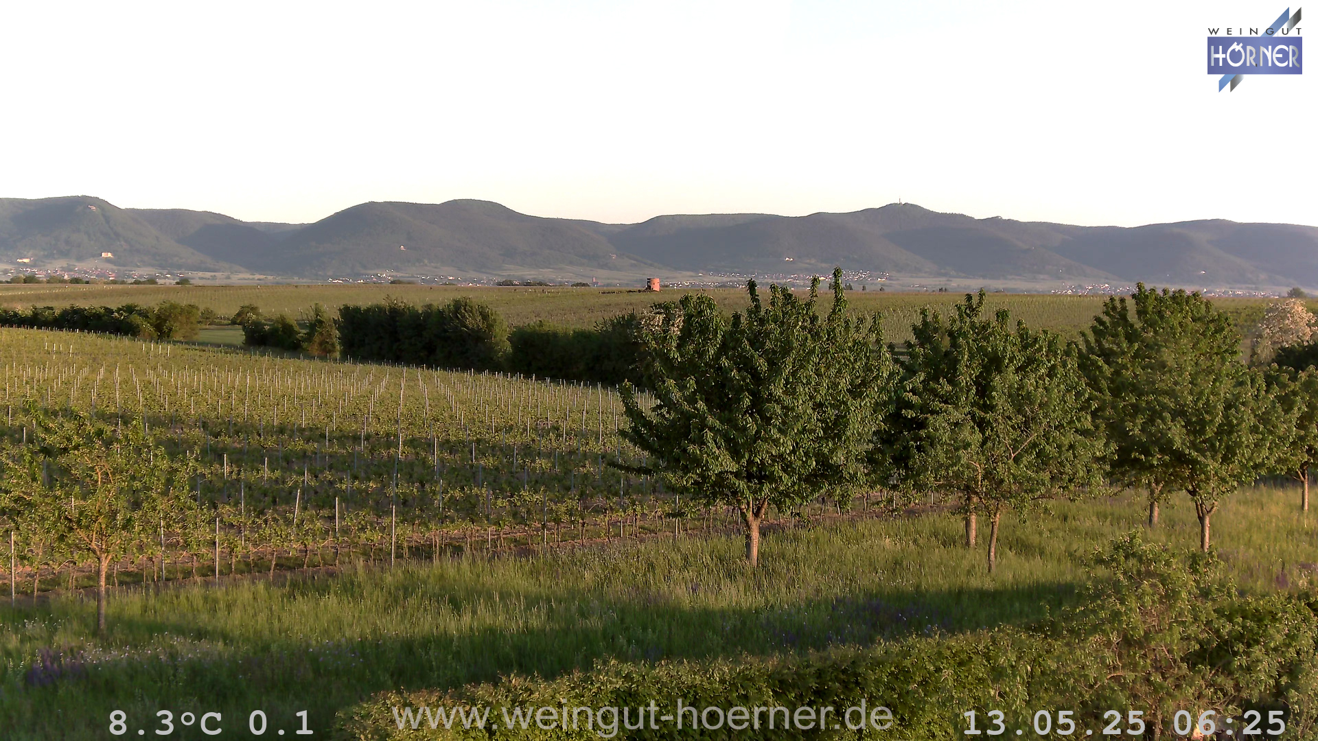 Webcam Weinberge Hochstadt