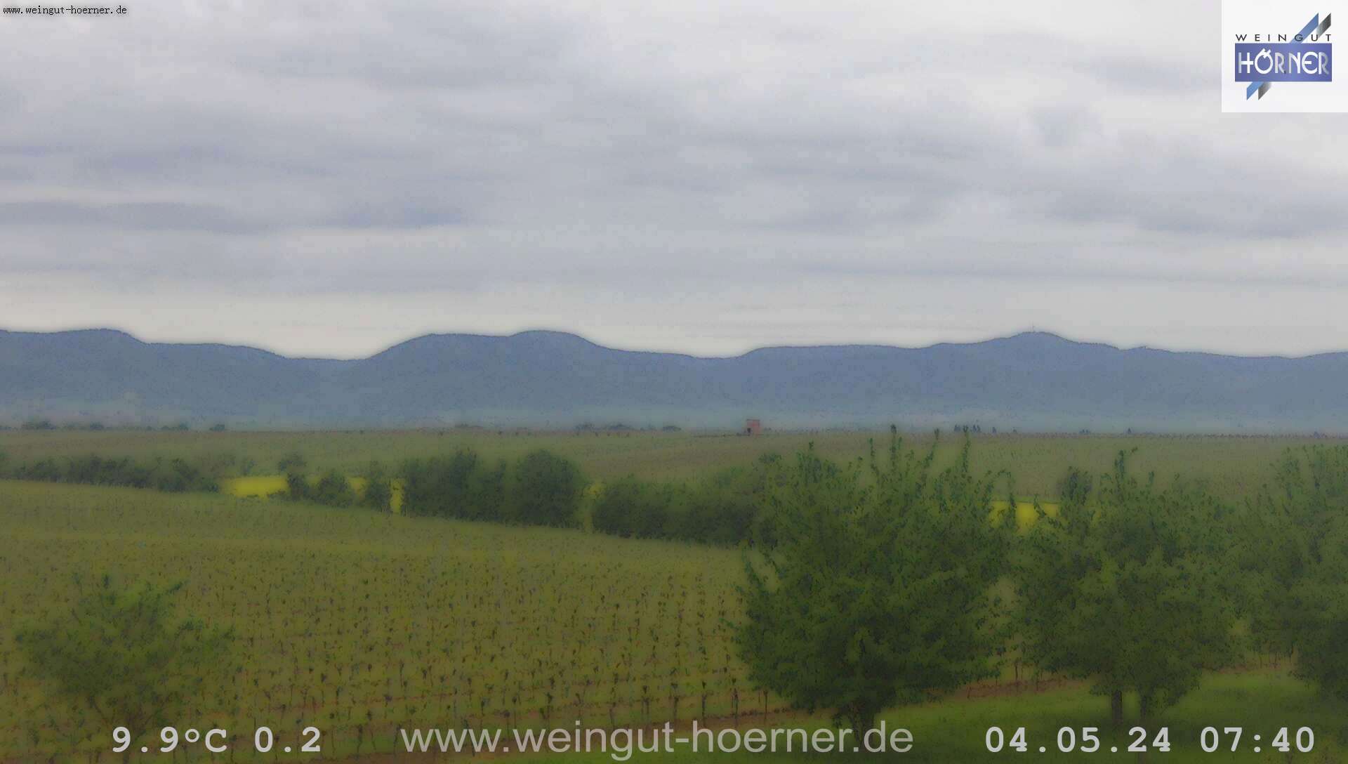 Webcam Hochstadt Pfalz Weinbergturm Aussichtspunkt