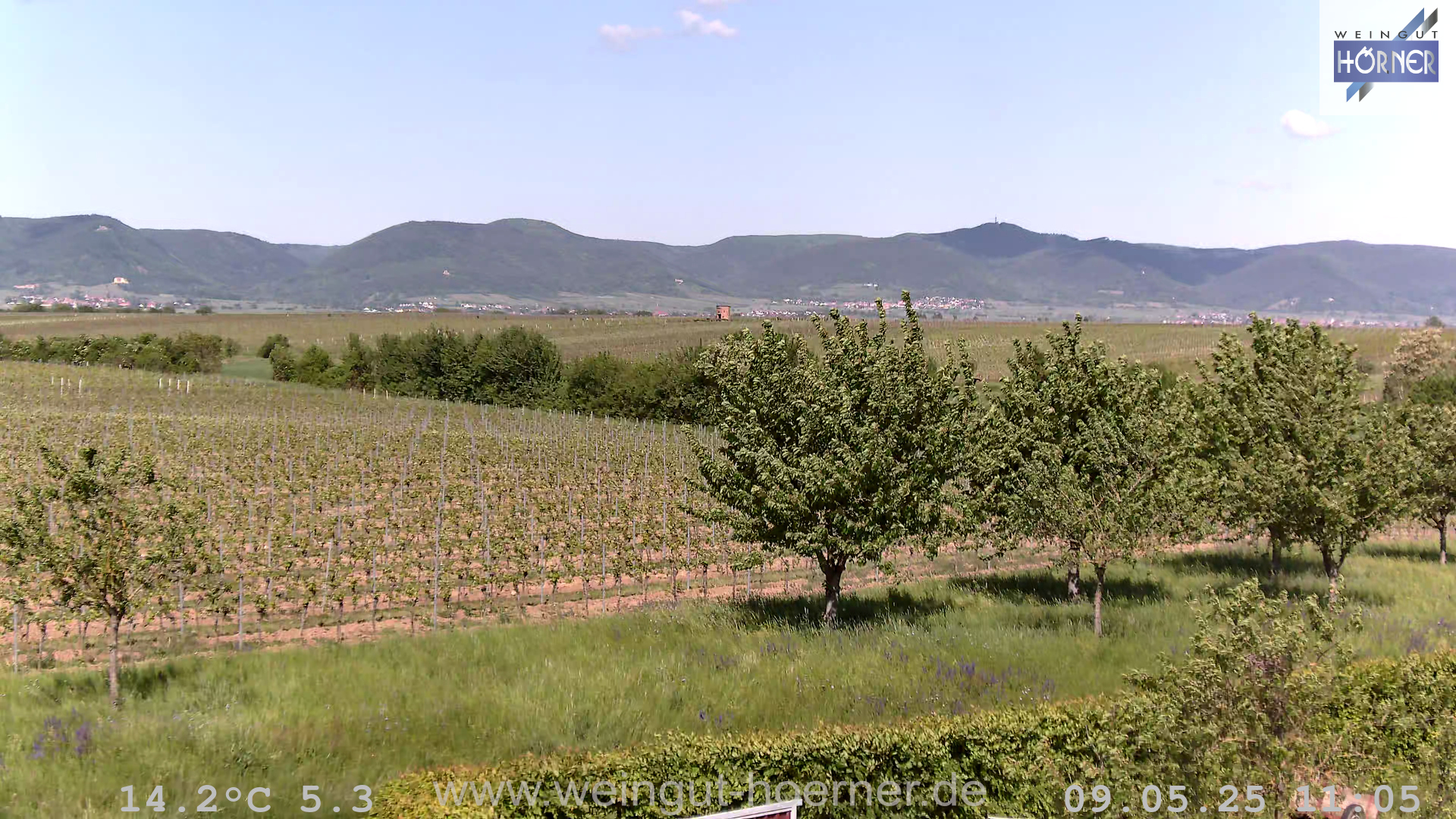 Webcam Weinberge Hochstadt