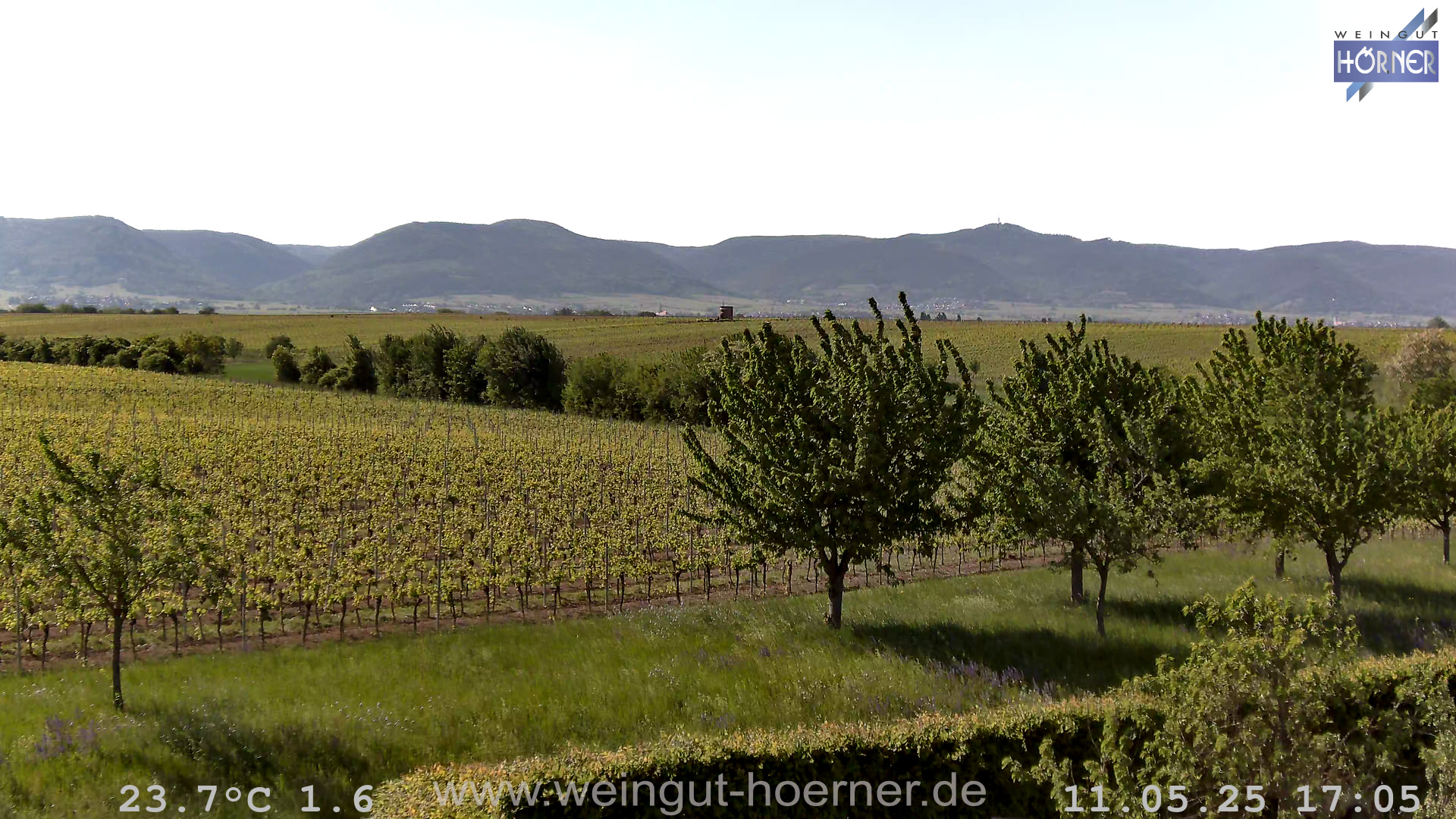 Webcam Weinberge Hochstadt