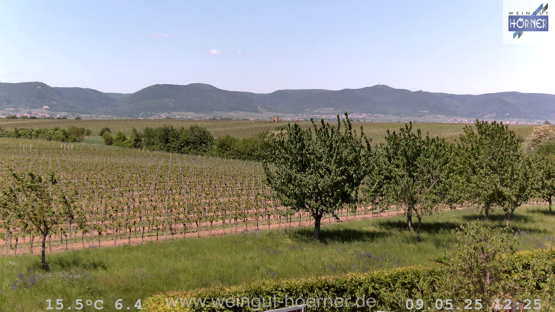 Webcam Weinberge Hochstadt