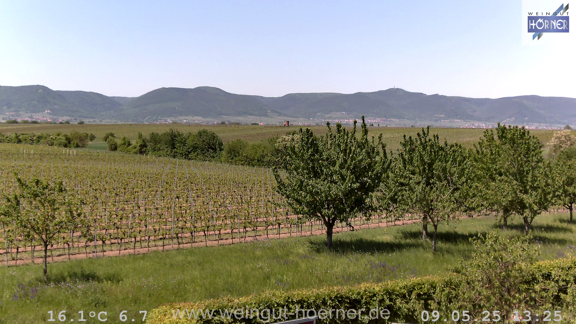 Webcam Weinberge Hochstadt