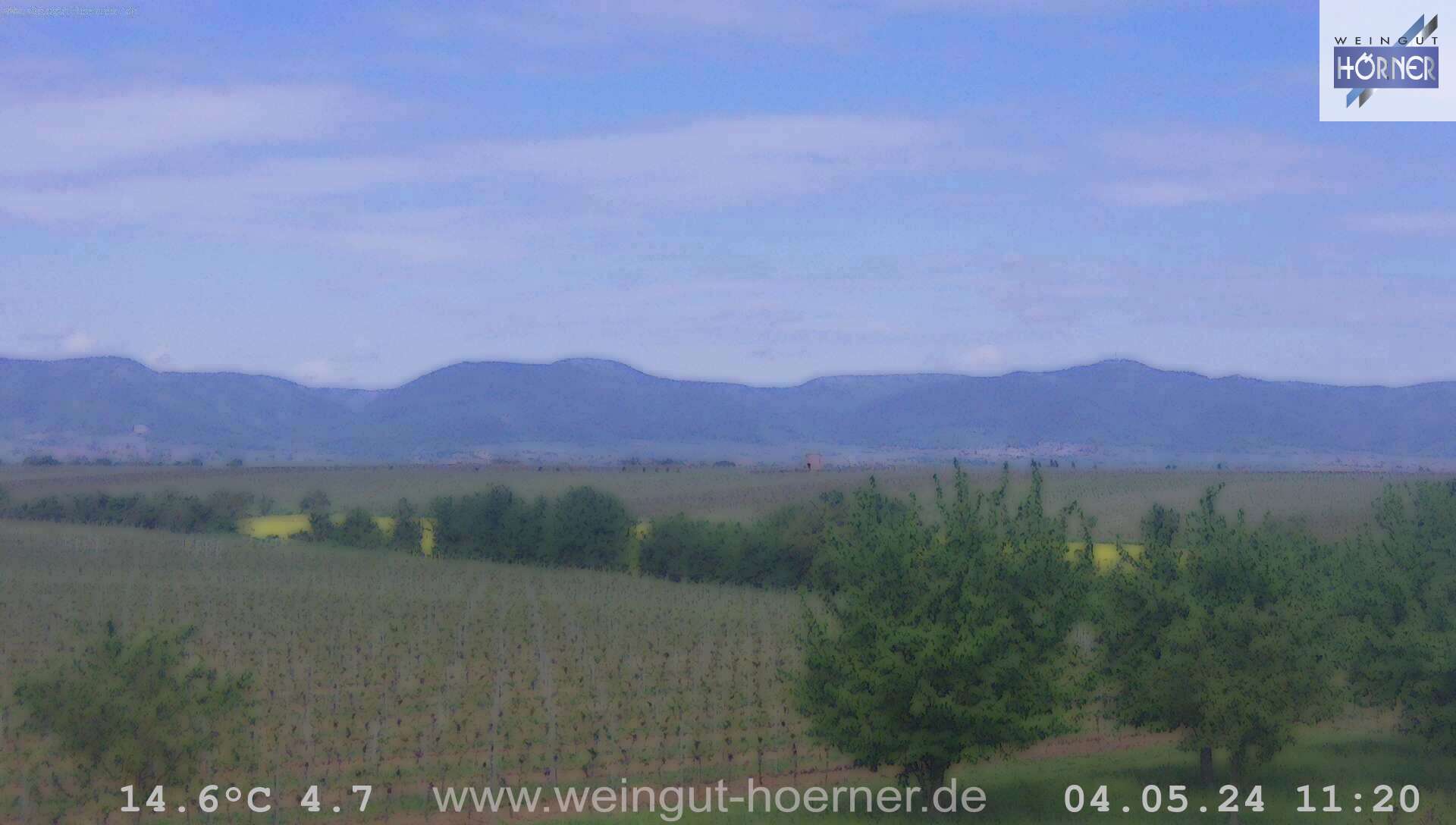 Webcam Hochstadt Pfalz Weinbergturm Aussichtspunkt