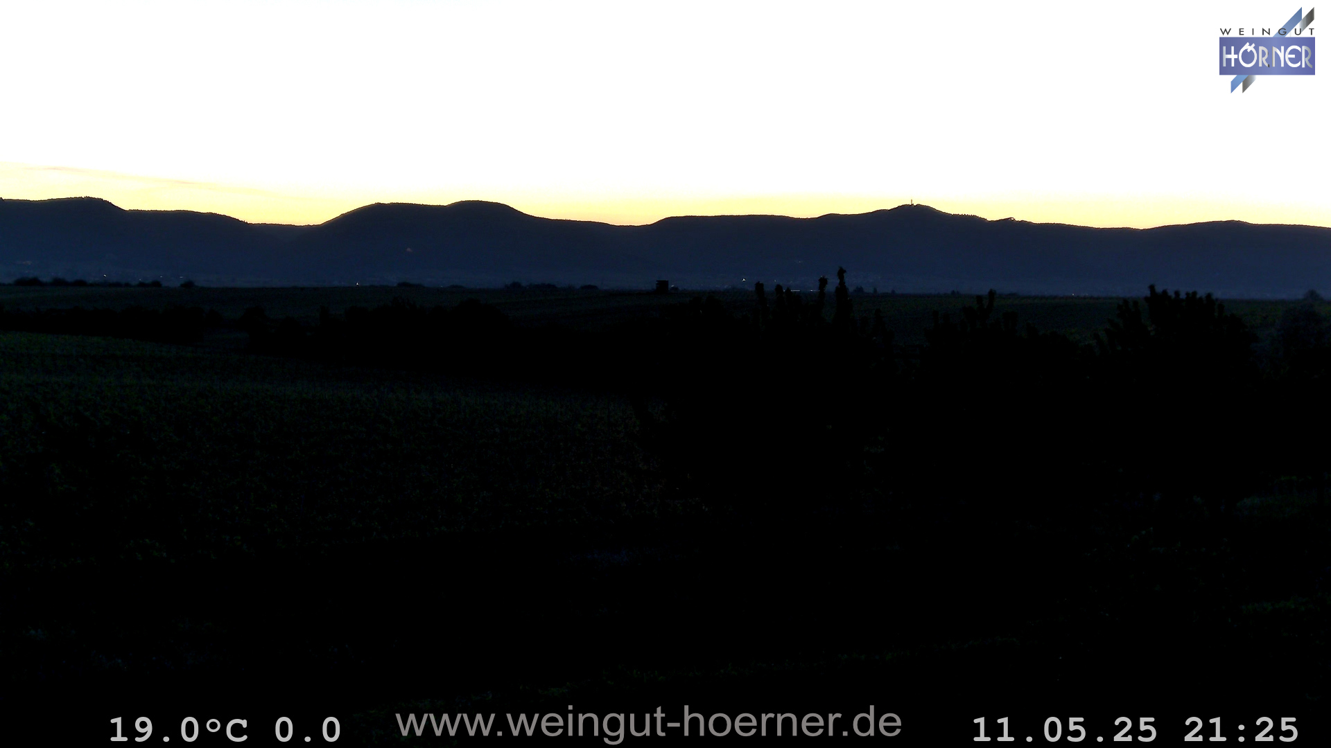 Webcam Weinberge Hochstadt