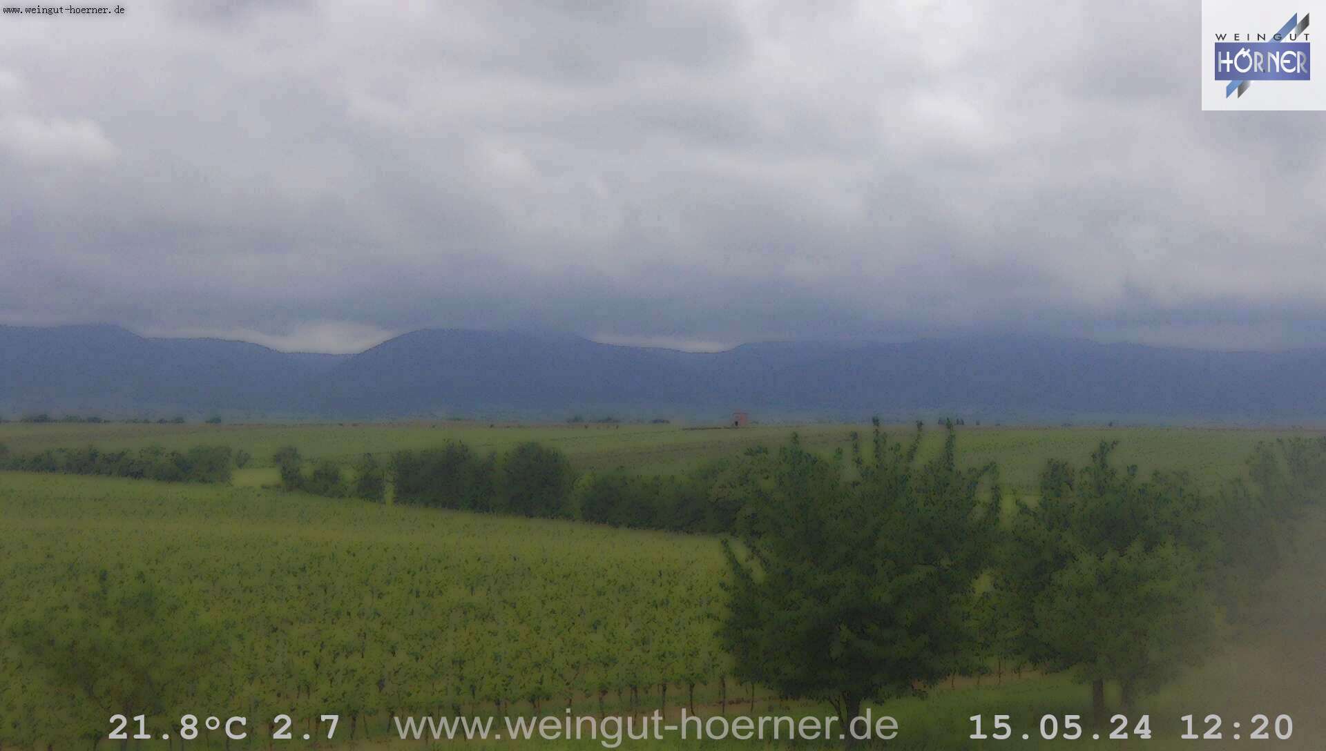 Webcam Weinberge Hochstadt