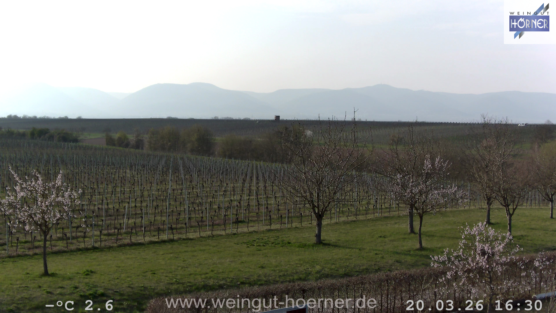 Webcam Hochstadt Pfalz Weinbergturm Aussichtspunkt