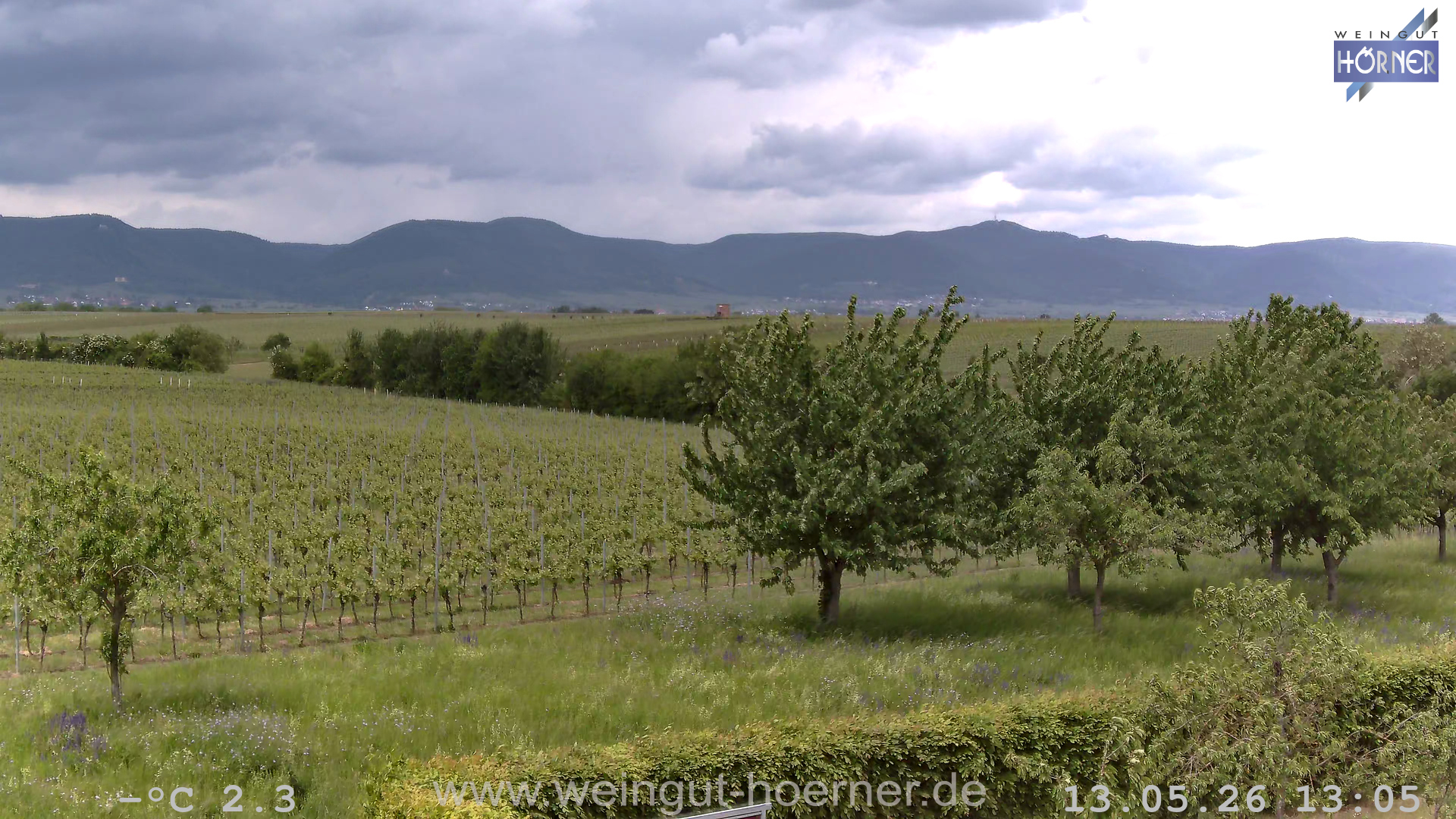 Webcam Hochstadt Pfalz Weinbergturm Aussichtspunkt