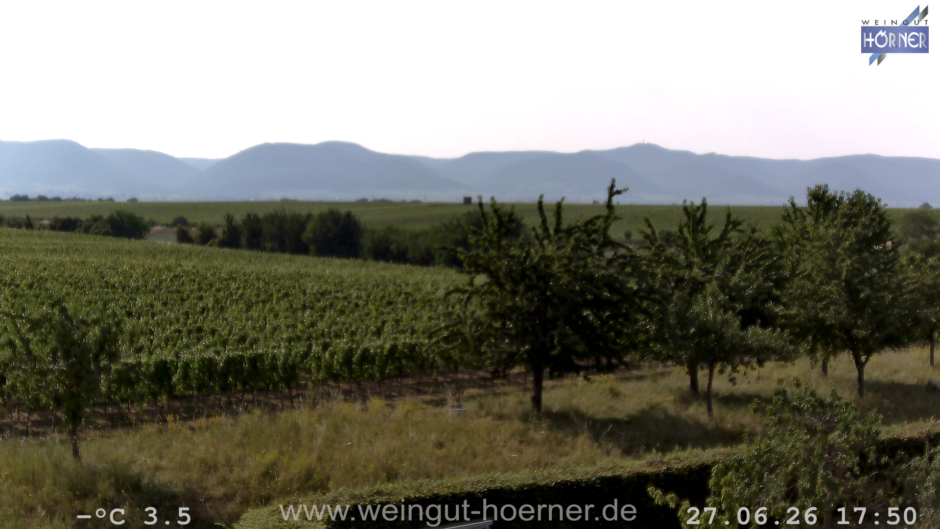 Webcam Hochstadt Pfalz Weinbergturm Aussichtspunkt