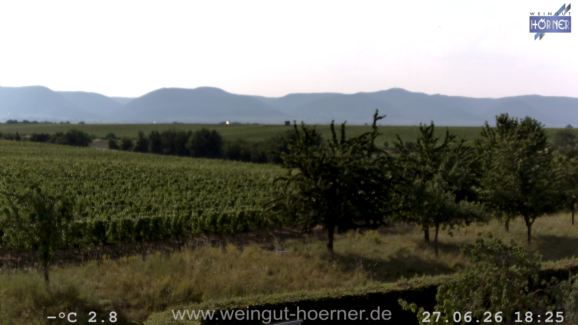Webcam Hochstadt Pfalz Weinbergturm Aussichtspunkt