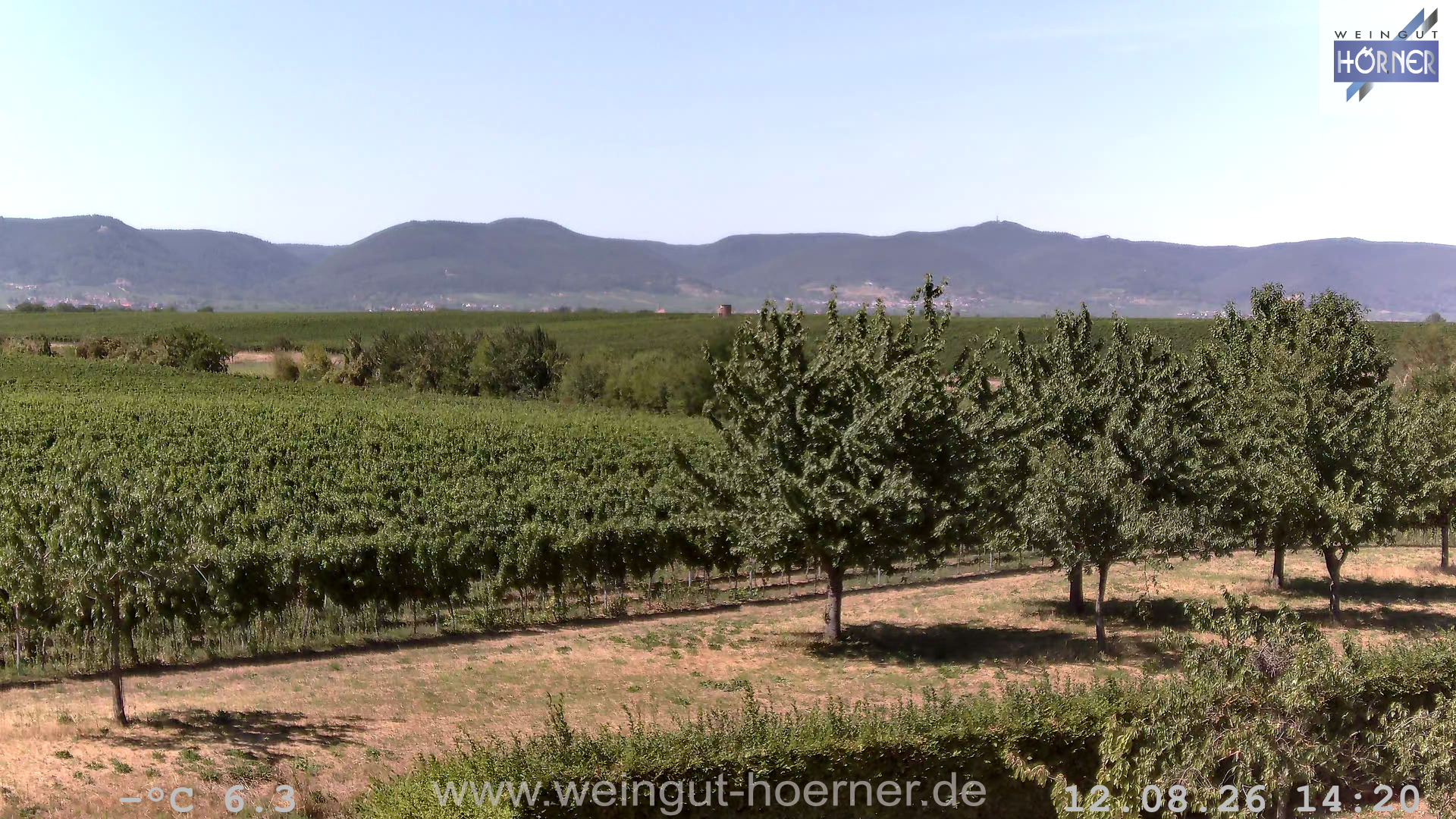 Webcam Hochstadt Pfalz Weinbergturm Aussichtspunkt