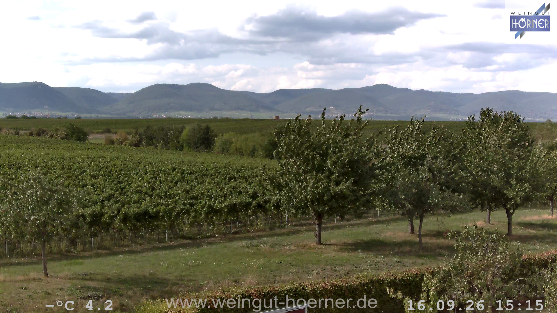 Webcam Hochstadt Pfalz Weinbergturm Aussichtspunkt