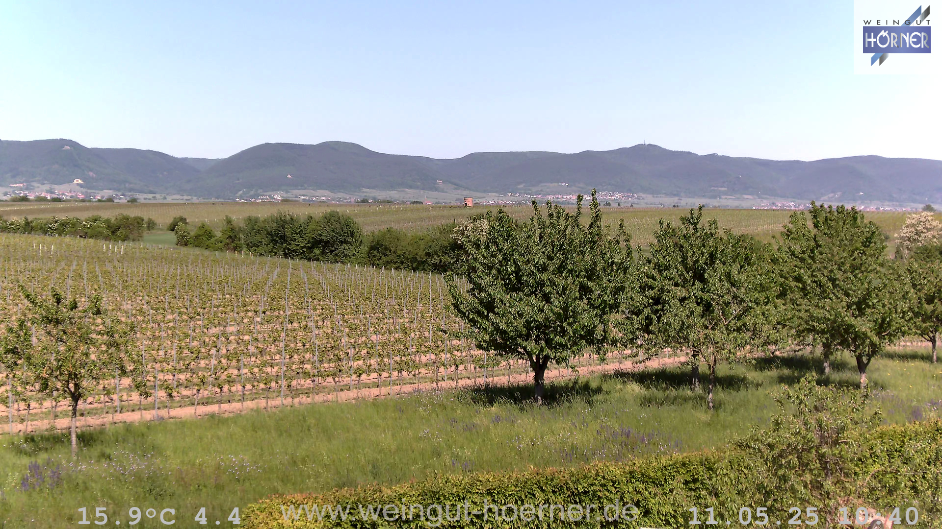 Webcam Weingut Hörner