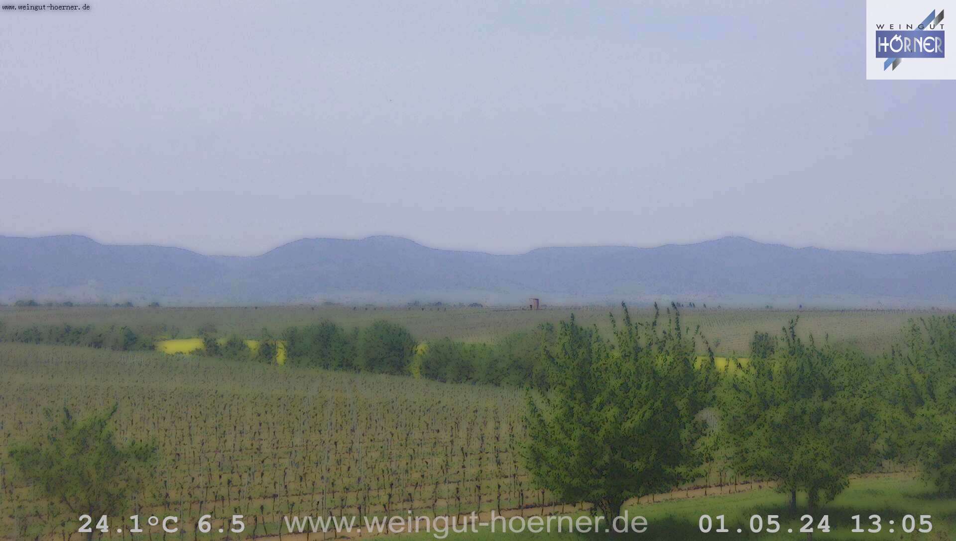 Webcam Weingut Hörner