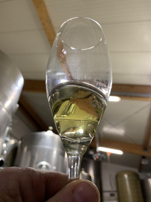Secco-filtration-1.jpeg Secco-filtration-1.jpeg